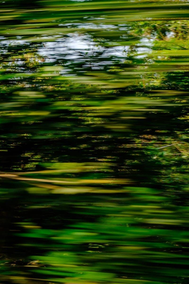 Travel photos | Abstract scene from the Bangkok - Kanchanaburi train, Thailand.