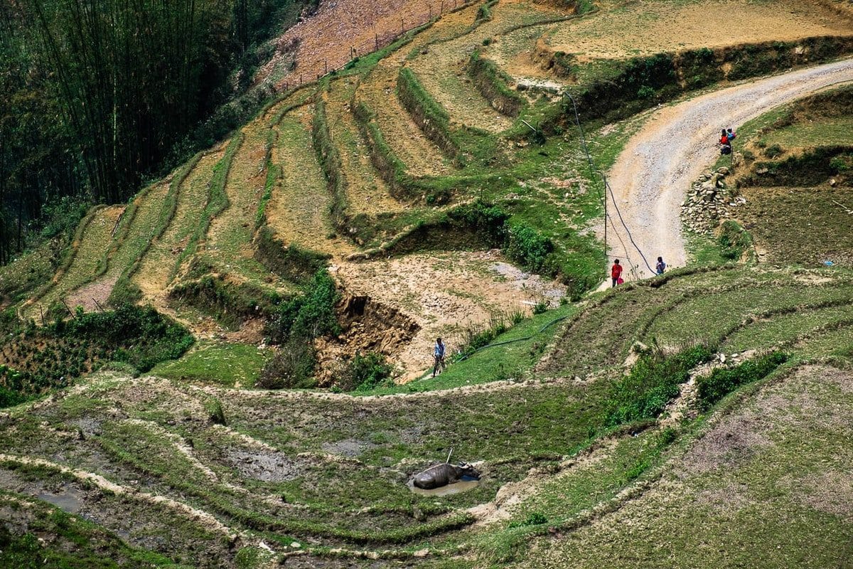 Terraced Rice Fields. Sapa, Northern Vietnam.