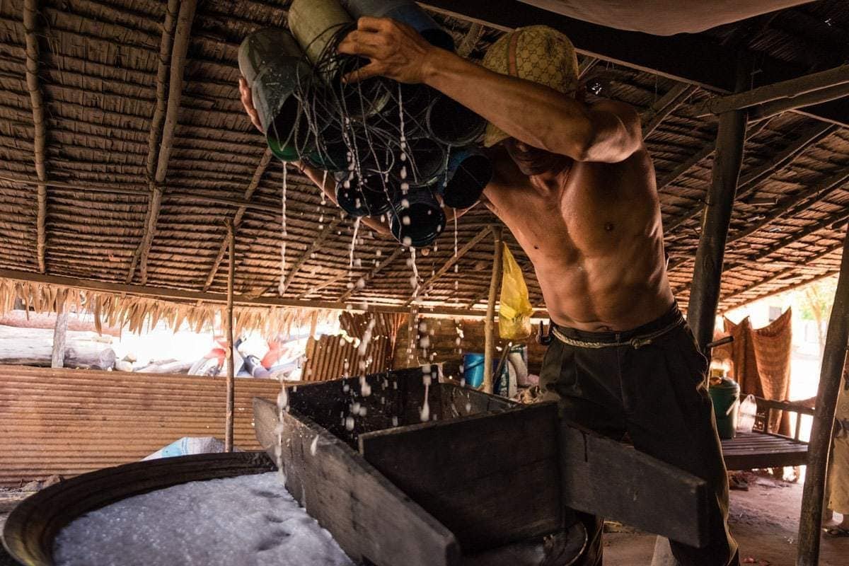 Cambodian farmer makes sure the containers with sap are completely emptied until the last drop. Cambodia.