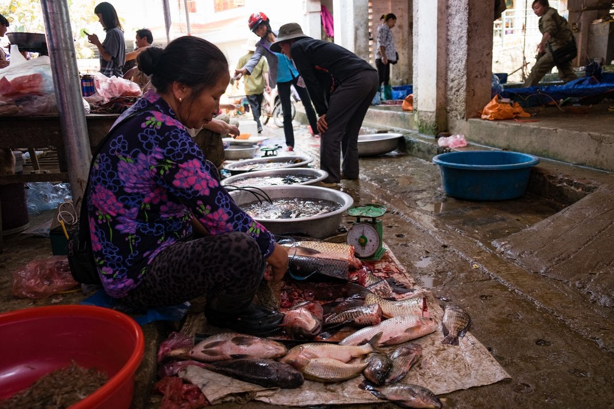 Fish market at Bac Ha in Northern Vietnam.