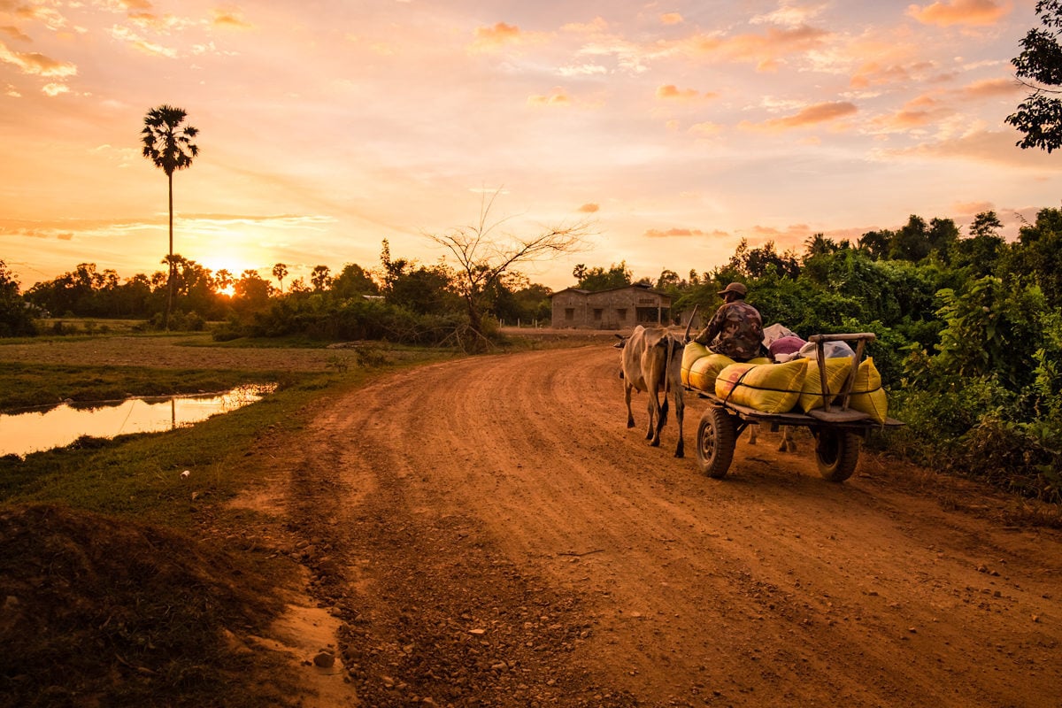 Kampot countryside at sunset! Khmer farmer goes back home after a long working day. Kampot, Cambodia.