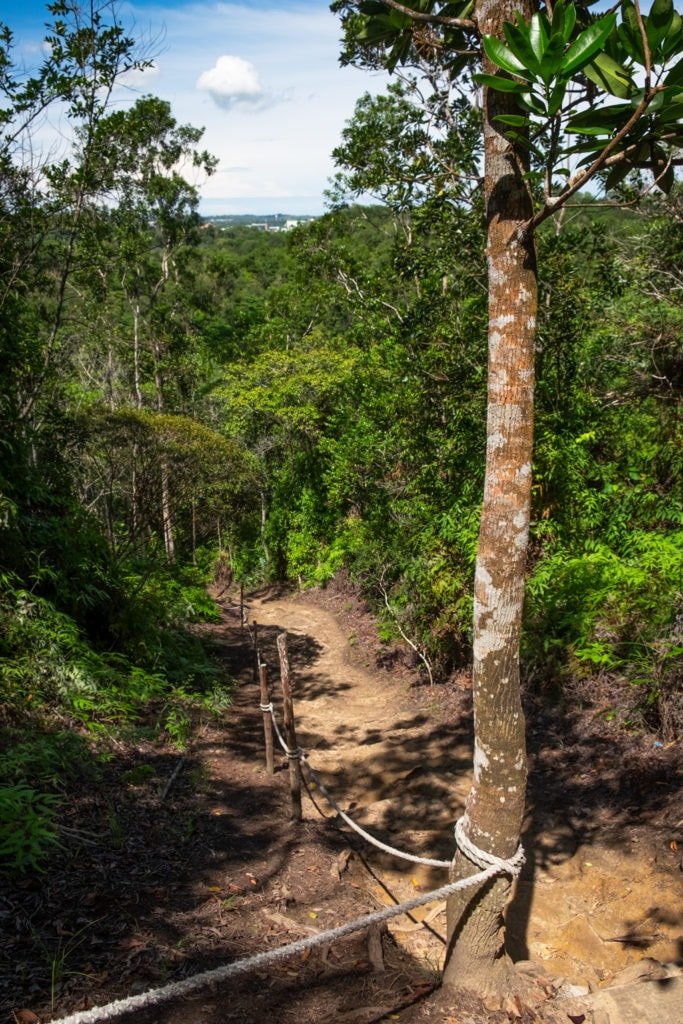 Forest at Tasek Lama Recreational Park. Bandar Seri Begawan, Brunei.