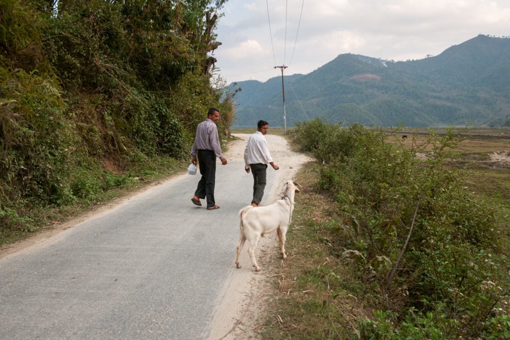 Two Nepalese men and goat walk on a countryside road near Pokhara, Nepal.