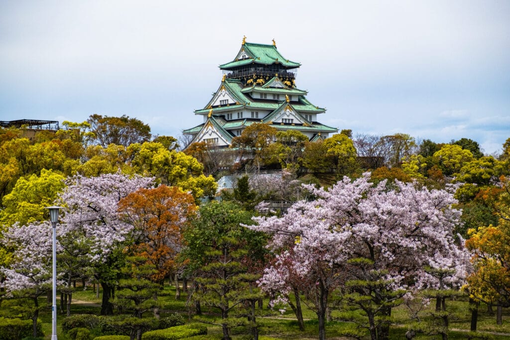 Osaka Castle Park and Cherry Blossoms. Osaka, Japan. The park is colourful.