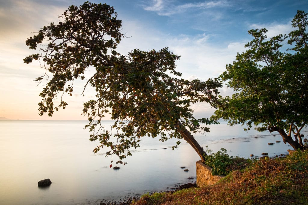 Long exposure of tree at sunset at Kep Beach. Kep, Cambodia. The sea water looks smooth and silky because of the long exposure.